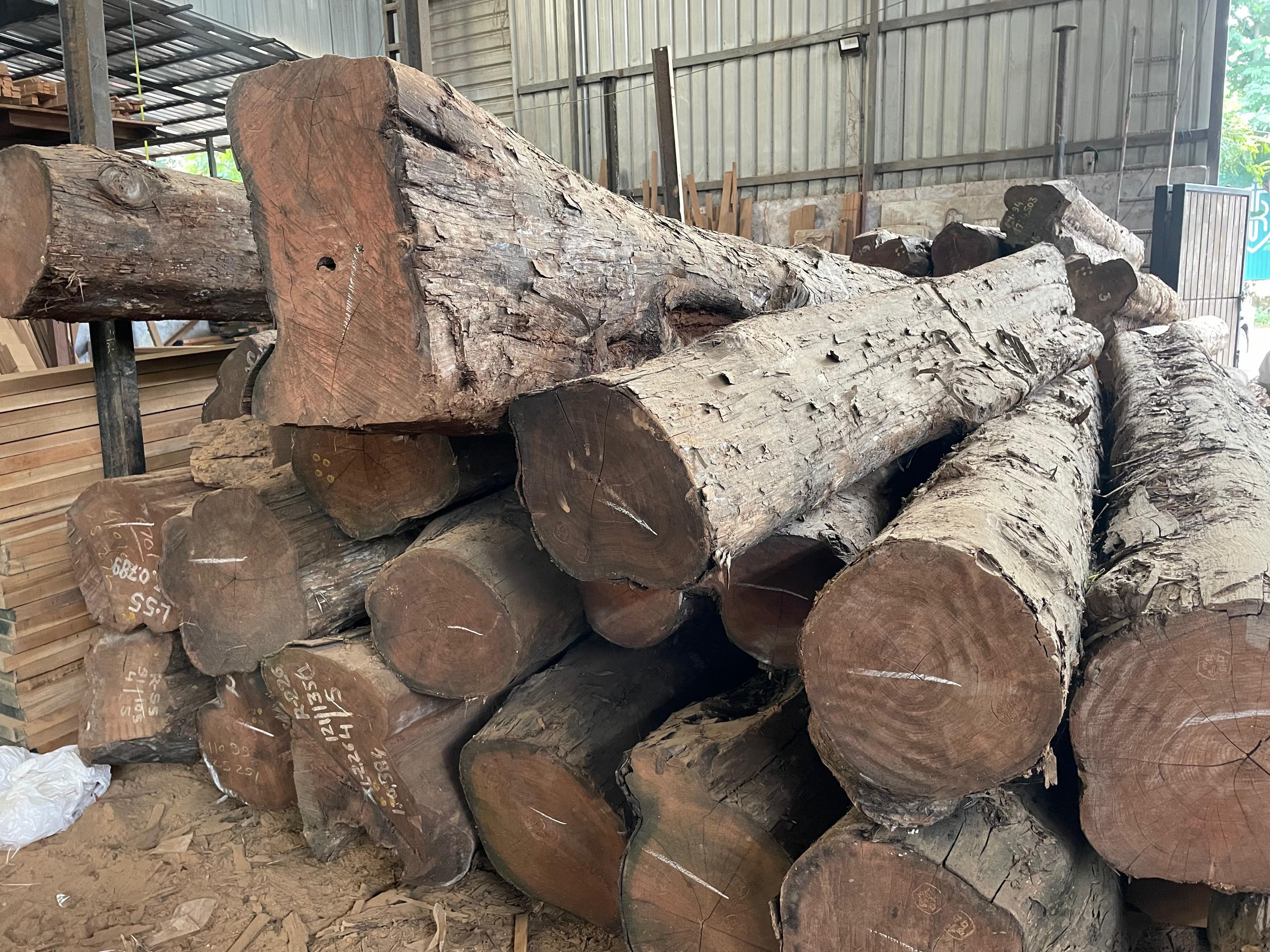 Red Meranti Lumber